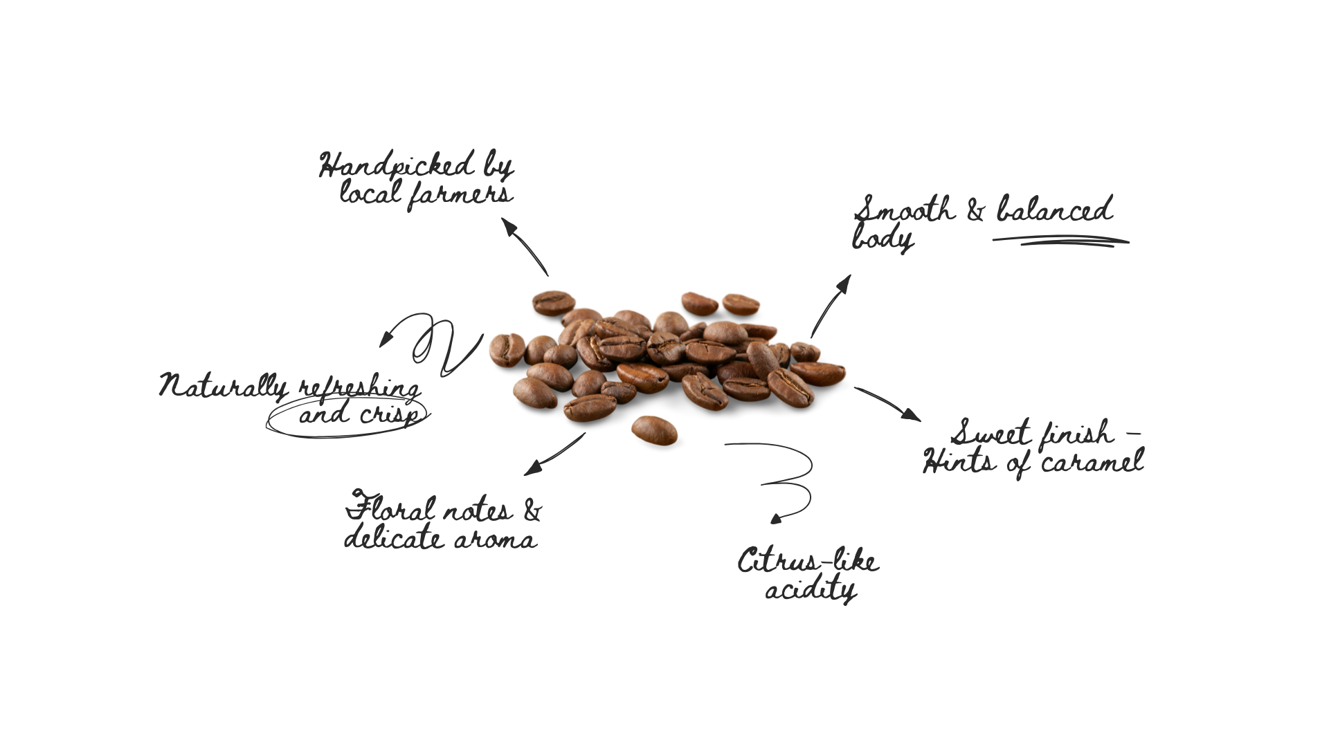 Kay Kuna Coffe UK - Powered by Beewise LTD